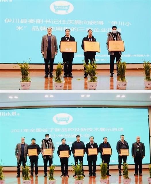 全国谷子新品种新技术展示总结暨小米品鉴大会在河南洛阳伊川县召开