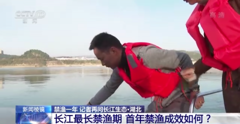 长江最长禁渔期即将达一年 这里的生态怎么样了？