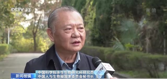 长江最长禁渔期即将达一年 这里的生态怎么样了？