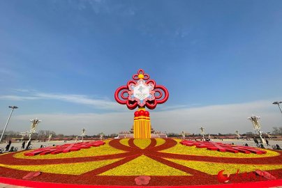 冬奥主题花坛揭秘:北京冬季前所未有的最