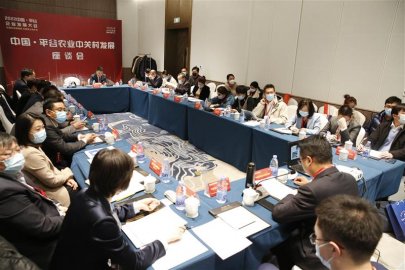 2022中国·平谷企业发展大会举办