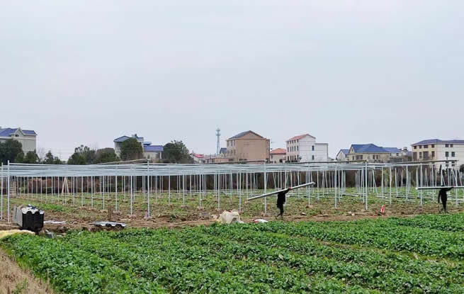 千红万紫准备著 只等春雷第一声——岳阳、益阳春耕备耕见闻录