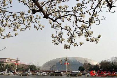 组图：京城春来早“水上明珠”与玉兰相映成趣--北京频道--人民网