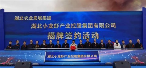 湖北小龙虾产业控股集团在潜江市揭牌