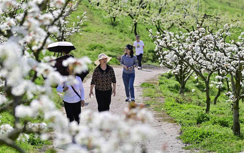 贵州龙里：发挥区位优势 推动农旅融合