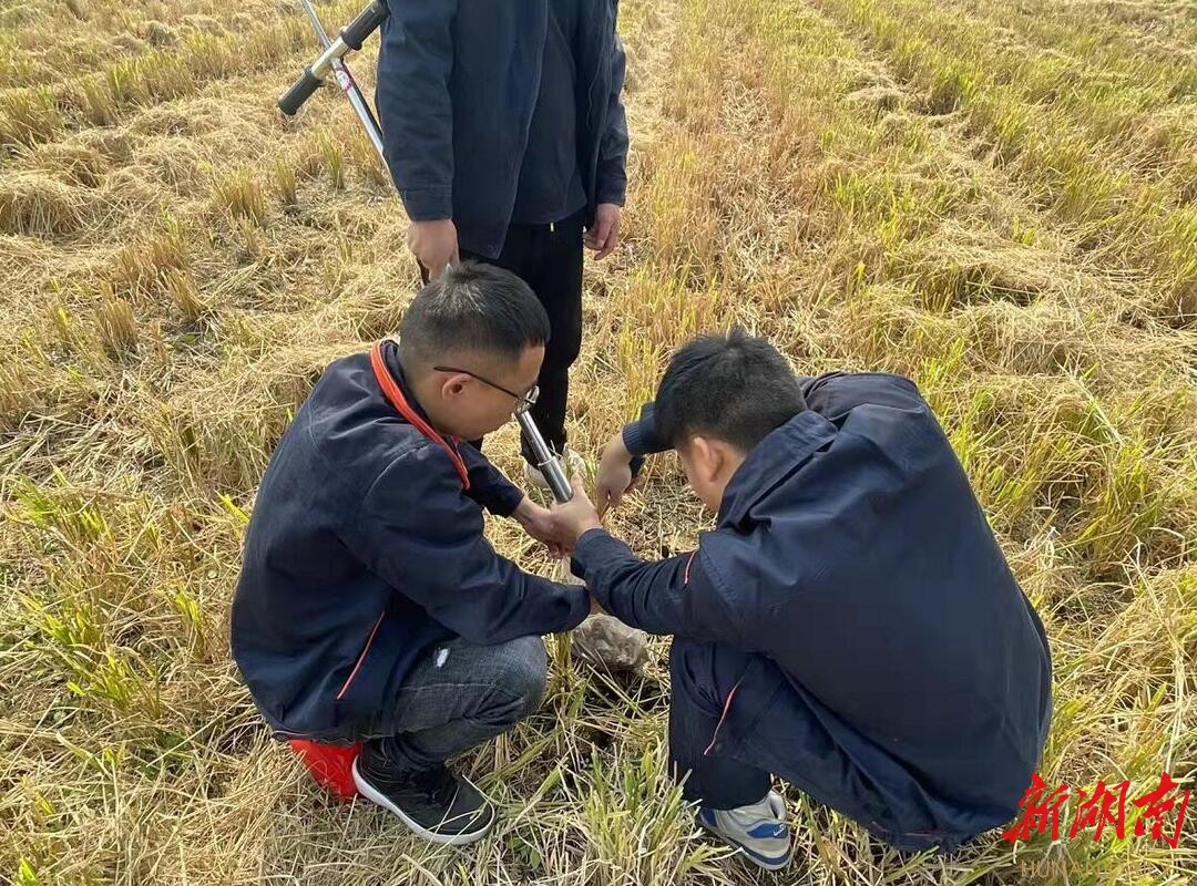 精准配方，精确用量，临湘一年可少施