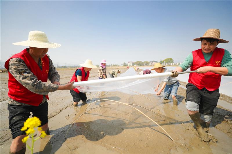 三个关键词解析浙江“土壤健康行动”