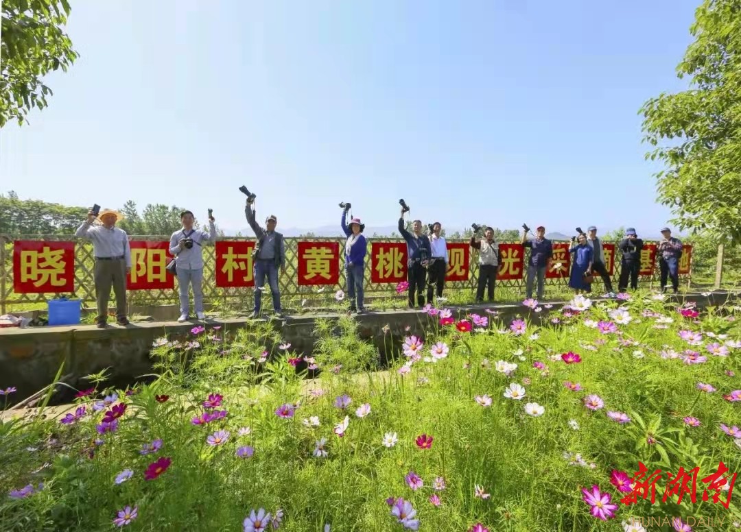 湖南日报市州头条 || 岳阳市集体经济薄弱