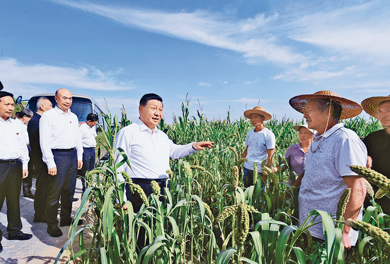  习近平：坚持把解决好“三农”问题作为全党工作重中之重 举全党全社会之力推动乡村振兴