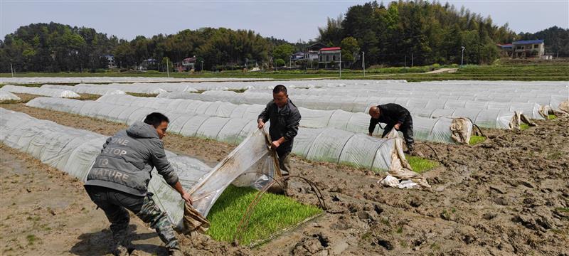 湖南湘乡市疫情防控与春耕生产“两不误”