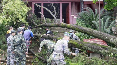 四川安岳县遭遇13级大风极端天气 各项救灾抢险工作正加紧推进