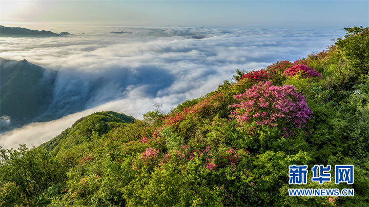 【“飞阅”中国】高山流云 岭上花红