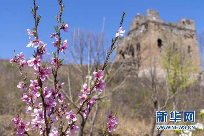 【“飞阅”中国】长城之春