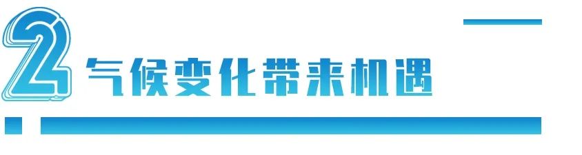 一成土地变耕地，就能养活2亿人：新疆会成为中华大粮仓吗？