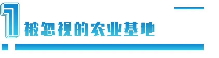 一成土地变耕地，就能养活2亿人：新疆会成为中华大粮仓吗？