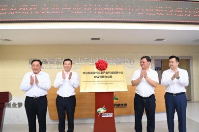 武汉国家农创中心建设管理办公室正式挂牌