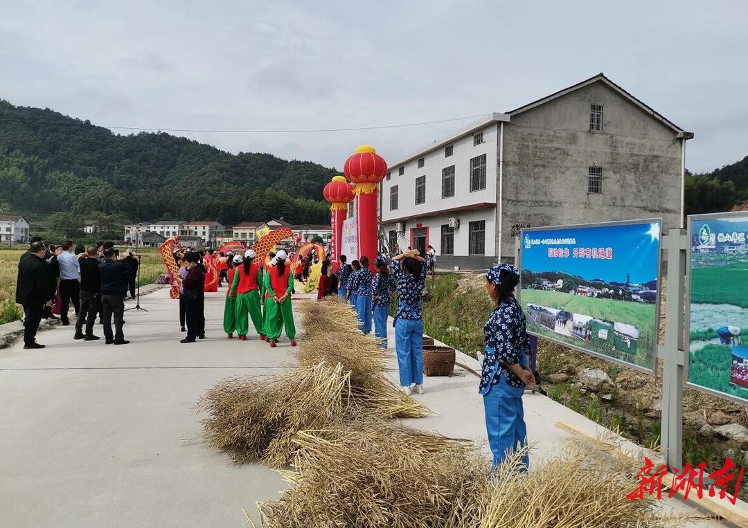 岳阳县公田镇油菜旅游节盛妆开幕