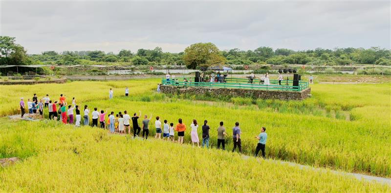 海南省海口市举办“2022年潭丰洋湿地稻谷丰收歌会”