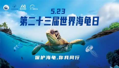 第二十三届世界海龟日主题宣传活动在多地同步举行