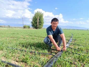 新疆额敏县：高标准农田建设让农民得实