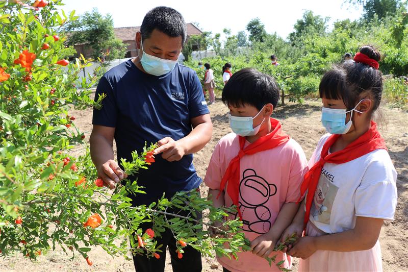 河南省通许县：劳动教育让学生“育见”更好的自己