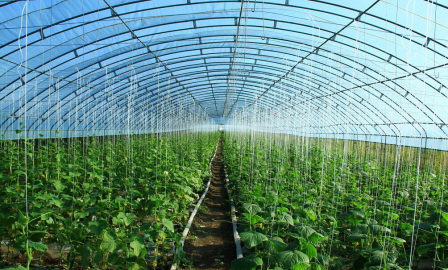 促进农业农村生态环境持续改善 涂覆型农膜产品安全性不容忽视