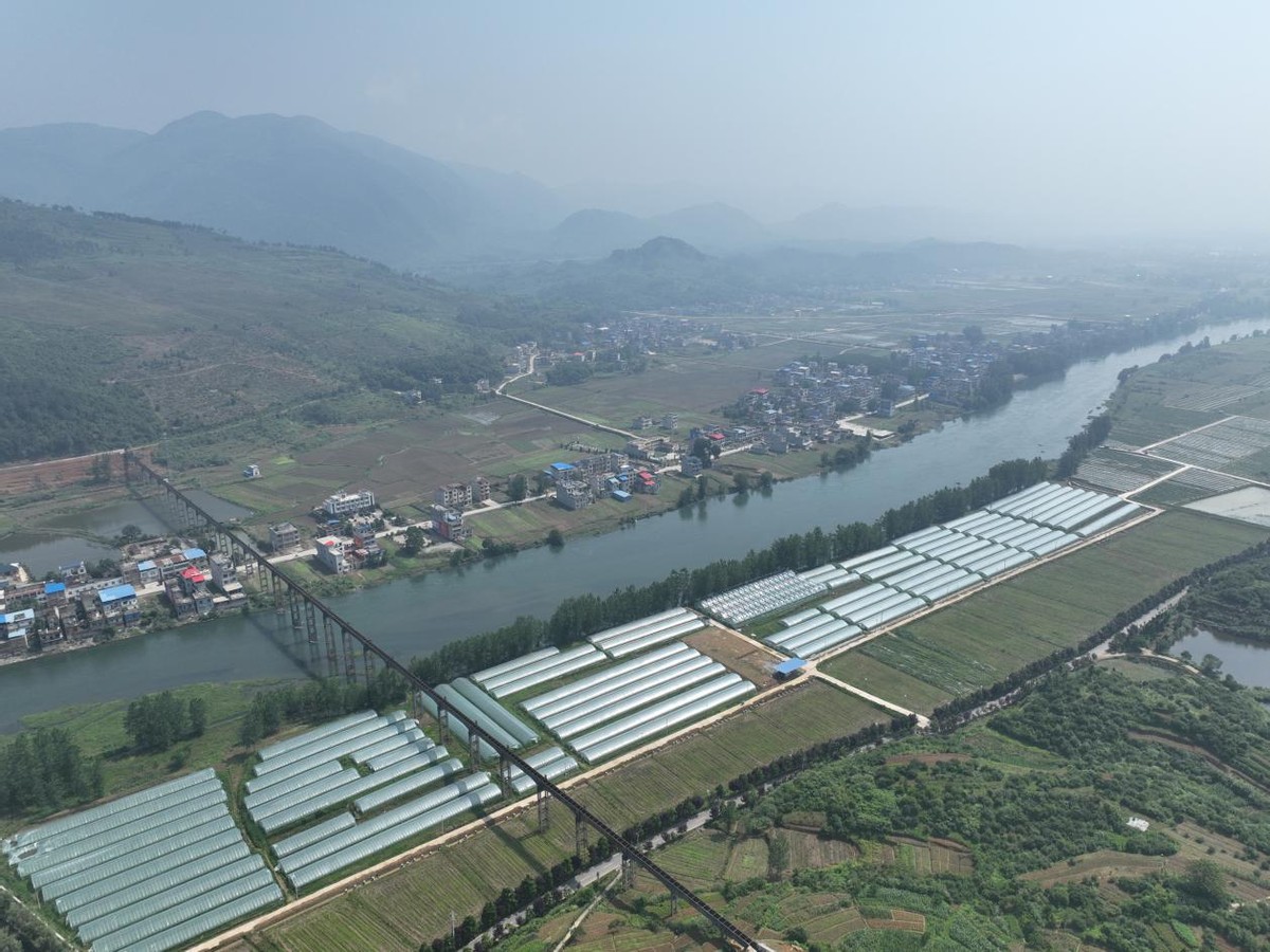 带就业旺旅游助致富，阳新这个村干出了“田园综合体”样板