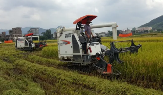 水稻生产机械化如何实现均衡发展？