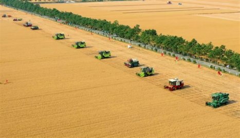 河南西平高标准农田迎来改造后首个丰收季