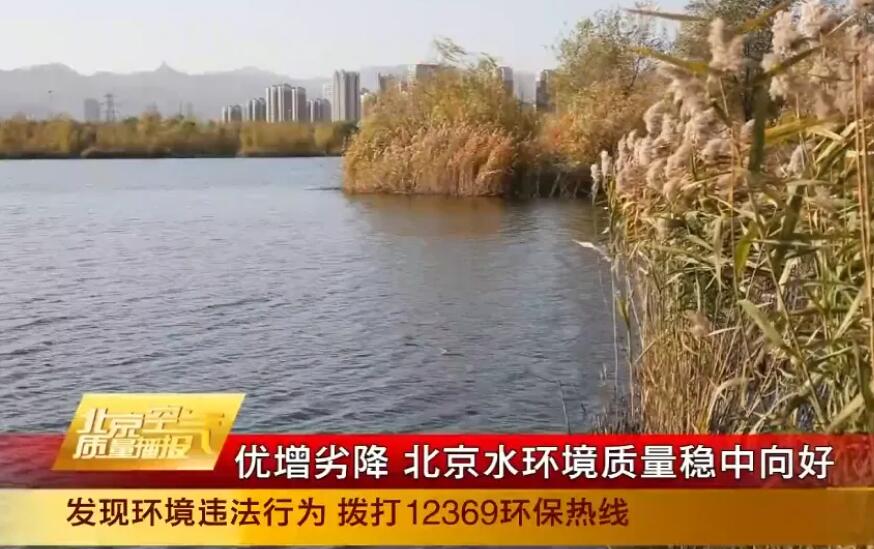 北京持续推进碧水保卫战：优良水体占比