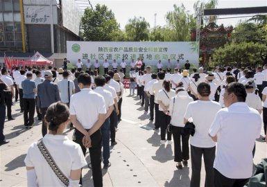 陕西省农产品质量安全科普宣传活动在礼