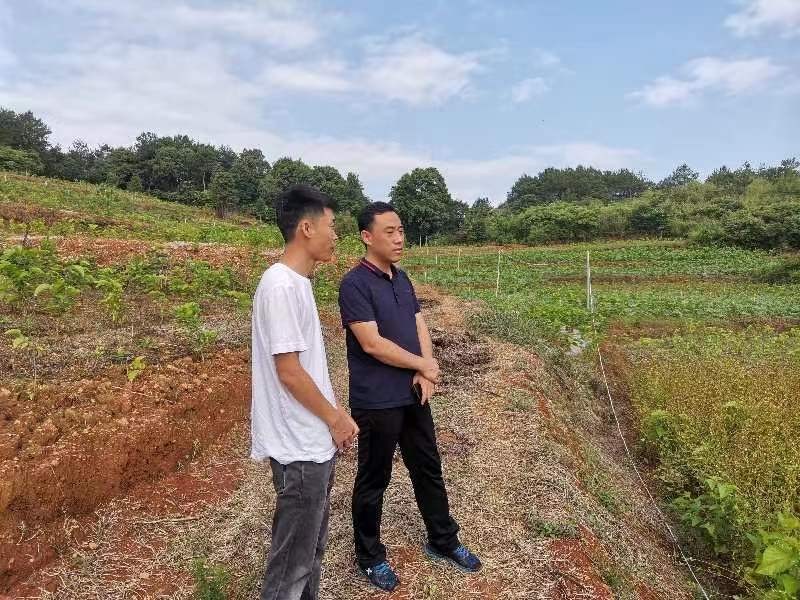 黄土地上结金果 阳新柏树村油茶果蔬基地为乡村振兴打牢产业基础