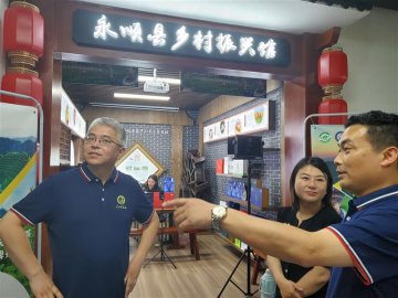 2022湖南省永顺莓茶品牌推介活动在长沙举