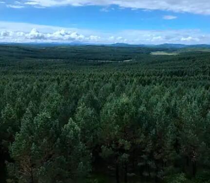 承德今年将高标准完成营造林100万亩
