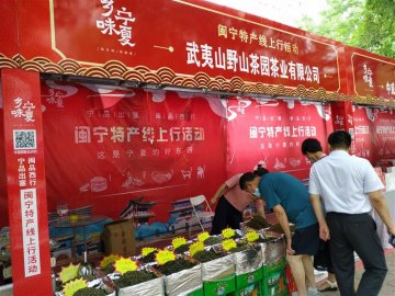 “闽宁特产线上行”促消费活动在宁夏银