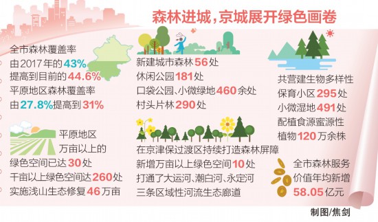 北京：新一轮百万亩造林工程本月完工