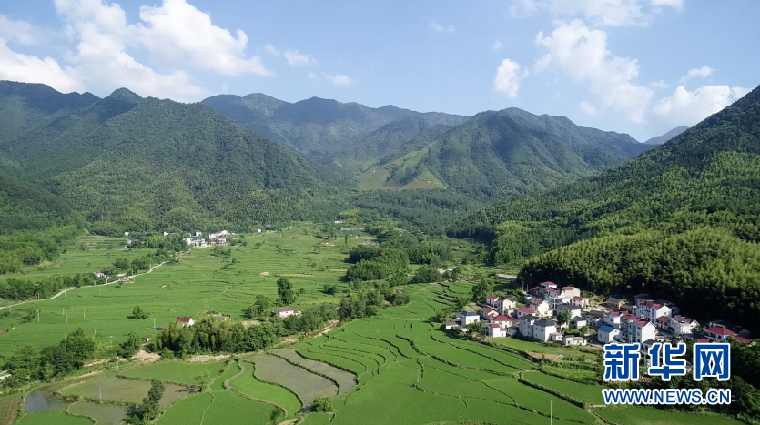 【“飞阅”中国】补秧耘田 景美如画