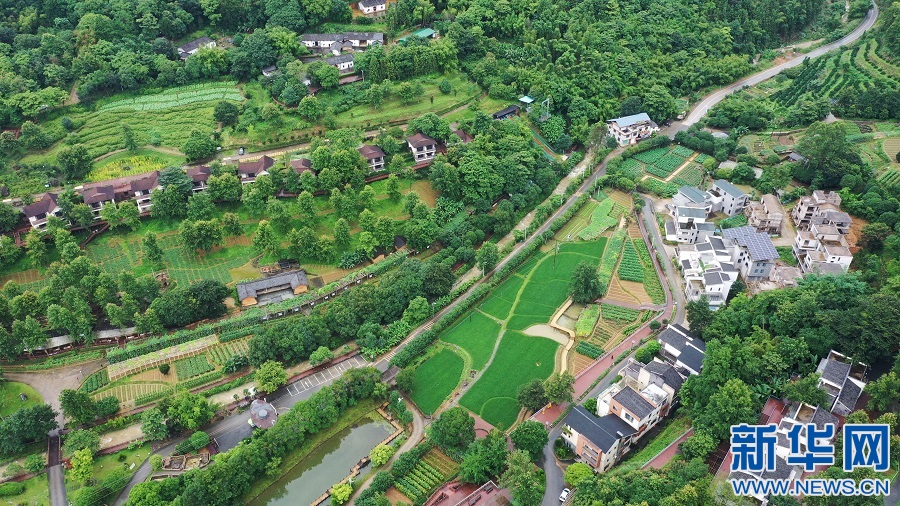 乡村振兴在行动丨赣南老区里的“丫山跨