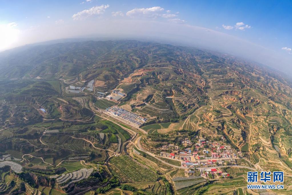 乡村振兴在行动丨在太行山上，探寻玉露