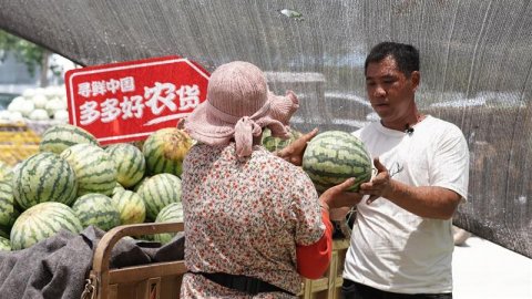 每天拍瓜上万个，验瓜师执着“抓品控”