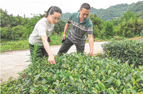 杜富国的妹妹杜富佳：大山里的“带货书记”