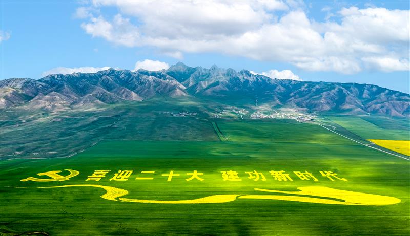 青海省海南藏族自治州：万亩油菜花海璀