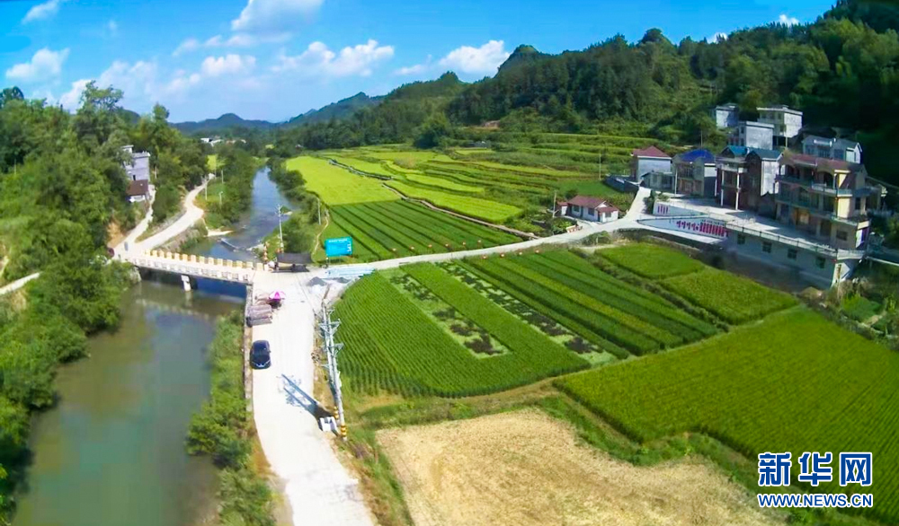 乡村振兴在行动｜鄂西山区小山村收获丰