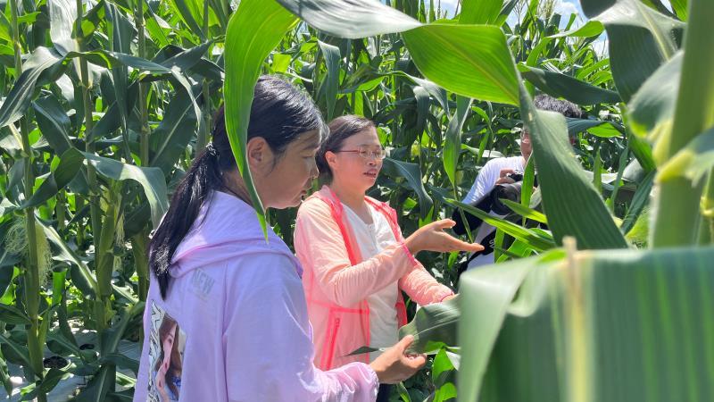 福建宁德：“碳汇+ 巾帼助农科技行” 赋能绿色产业发展