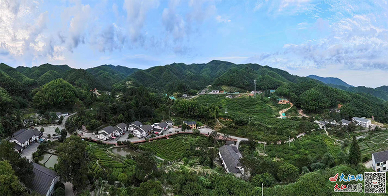 老区看变化：日子越过越甜的神山村