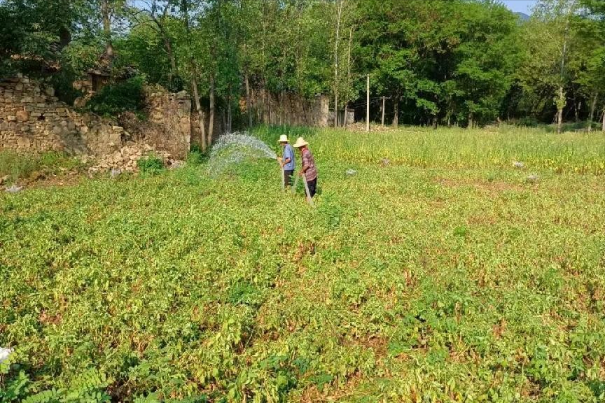 迎战高温的逆行者 大悟县住建局党员干部