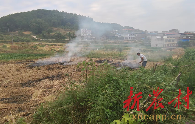 湖南隆回周旺镇：成功制止一起焚烧稻田