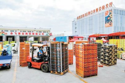 京南崛起农副产品物流园