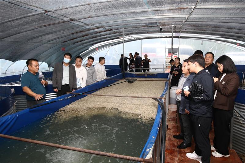 陕西安康：岚皋生态鱼 走出渔业绿色发展新路子