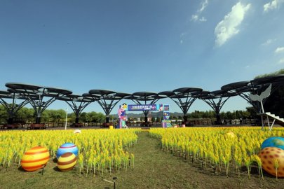 北京农业嘉年华园区试运营开放 将持续至10月20日